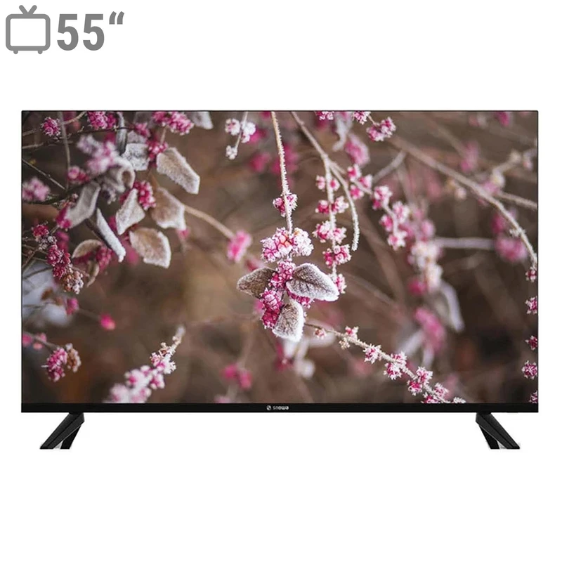 تلویزیون اسنوا بهتره یا جی پلاس - 4